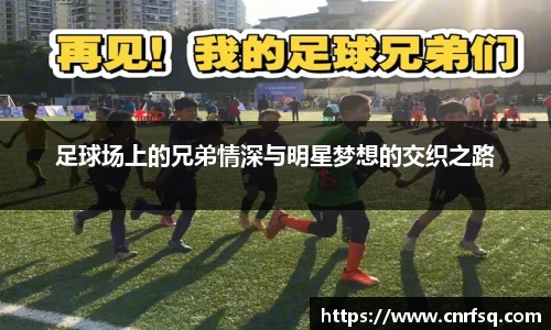 JN江南体育官网